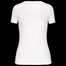 pa477-white-b1.png