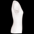 pa477-white-c1.png