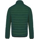 ka6120-forest_green-b1.jpg