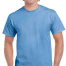 gih000-flo_blue-a1.jpg