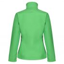 retra689-extreme_greenblack-b2.jpg