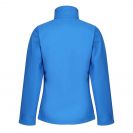 retra689-oxford_blueblack-b2.jpg