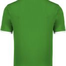 pa4001-greenwhite-b1.jpg