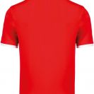 pa4001-sporty_redwhite-b1.jpg