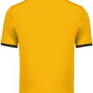 pa4001-sporty_yellowblack-b1.jpg