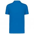 pa482-aqua_blue-b1.jpg
