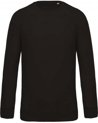 KIDS' ORGANIC RAGLAN SLEEVE SWEATSHIRT