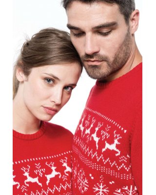 REINDEER MOTIF JUMPER